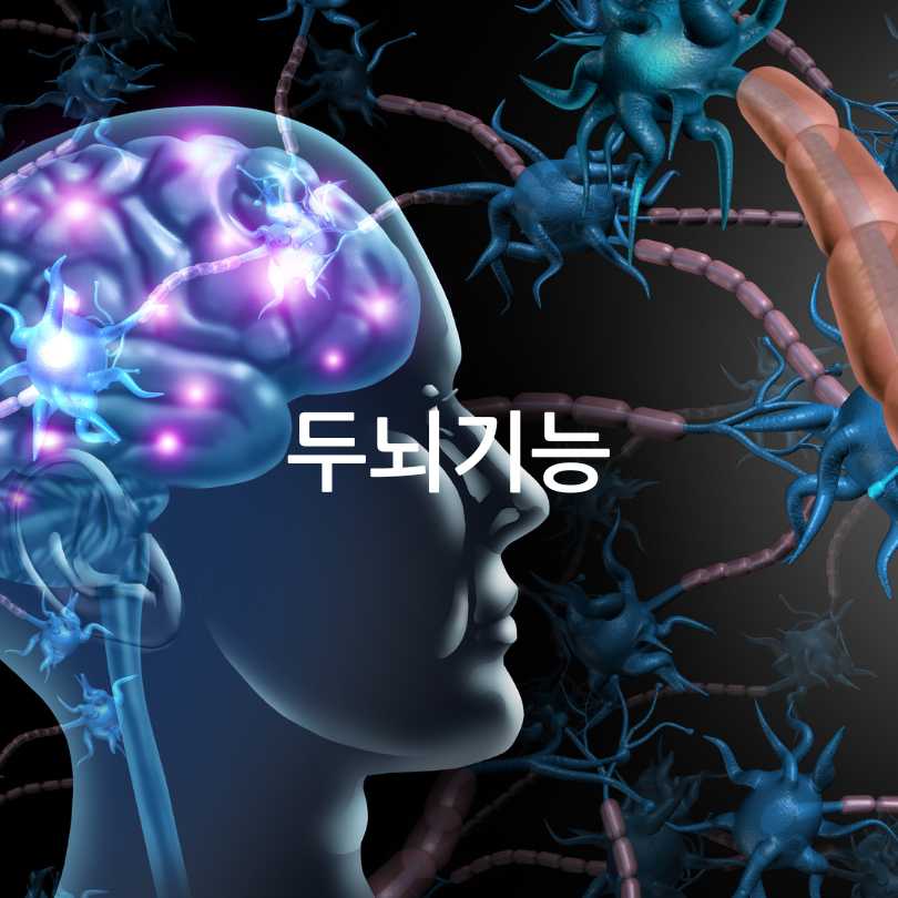 커큐민 흡수율 높인 제품