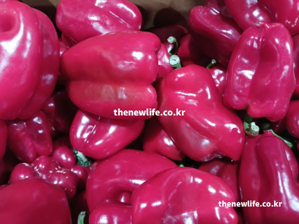 피망 효능을 돕는 파라진과 칼륨 성분이 혈압을 조절하는 데 도움이 되는 실사진