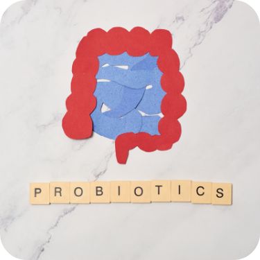 프로바이오틱스 유산균 추천