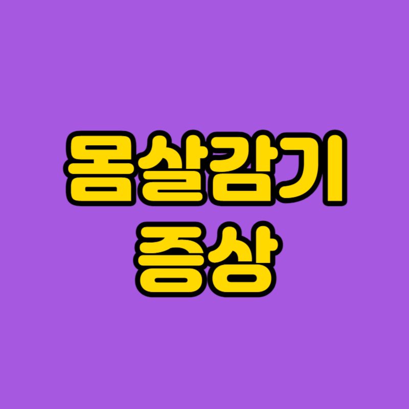 몸살감기 증상