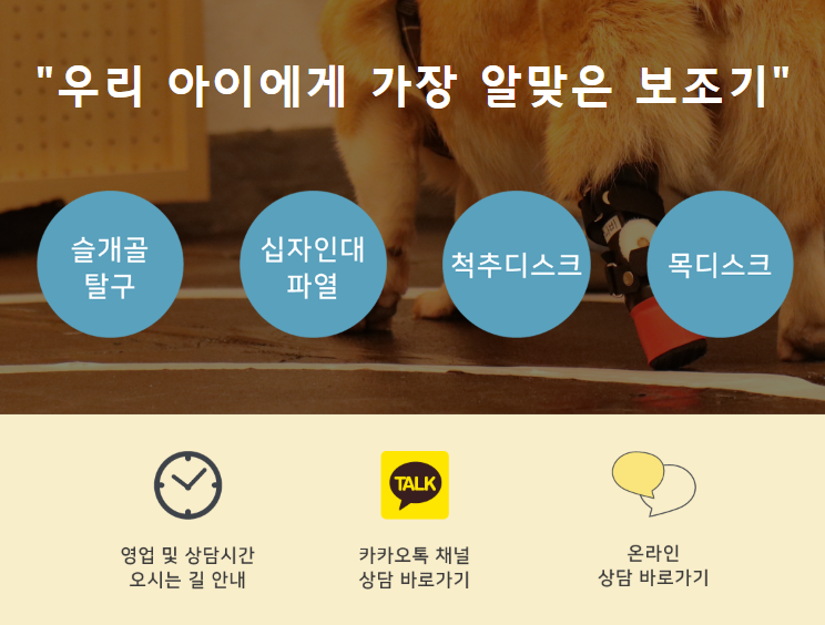 생방송투데이 반려동물 재활 보조기구 슬개골 척추 경추 발목 휠체어 고관절 성공인 동물재활공학사 펫츠오앤피 정보