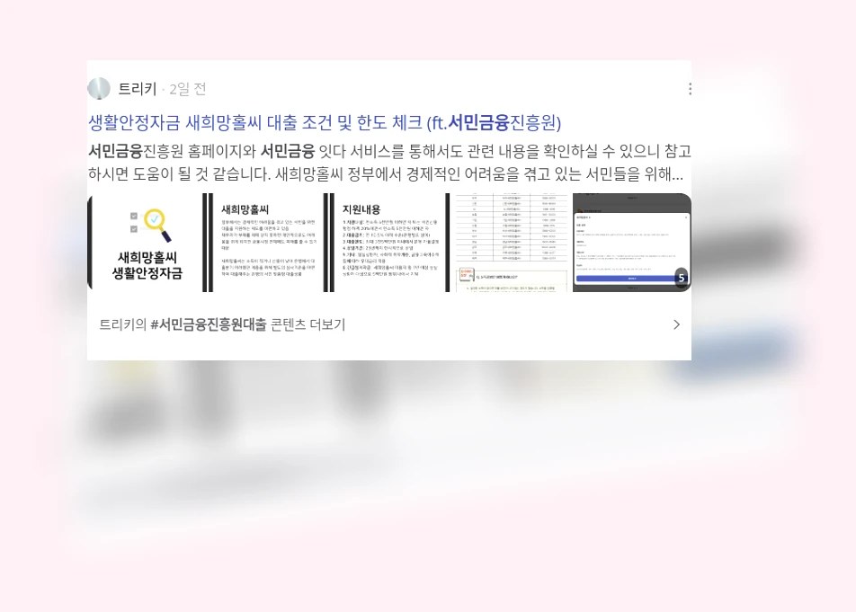 서민금융_3_subsection