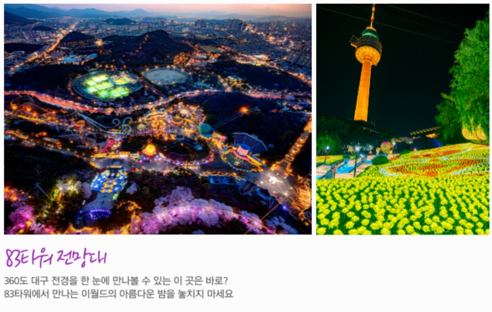 이월드의 야간 전경 