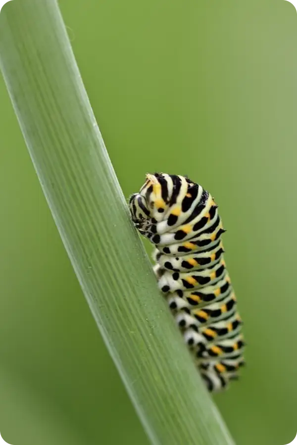 여름맞이 숙박세일페스타
