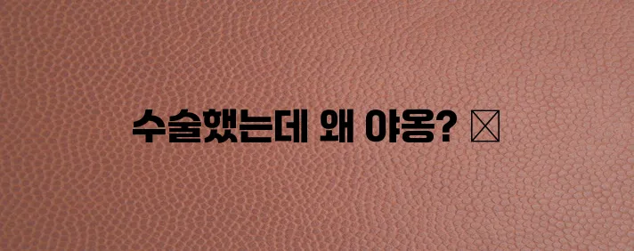 고양이 중성화수술 후 발정 원인을 이해하고 제대로 관리해야 합니다!