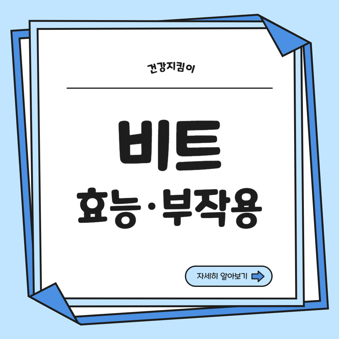 비트 효능 및 부작용 먹는 방법 칼로리 소변색