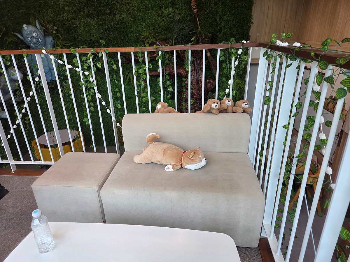 동해 묵호 도째비골 스카이밸리 카페 째비네컷앤카페|할인 꿀팁 및 후기