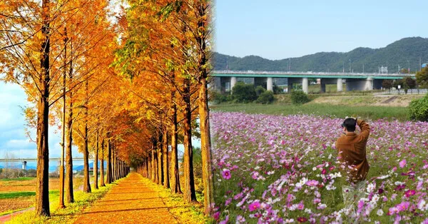 공주 가볼만한곳 베스트10 현지인 추천 필수코스_2