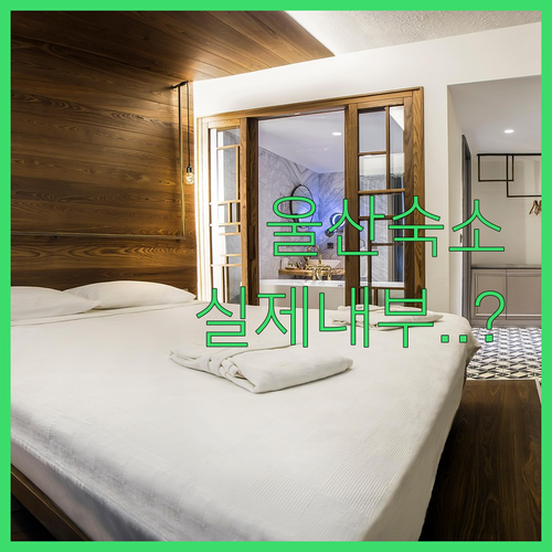 직접 비교한 울산 숙소 추천 리스트와..