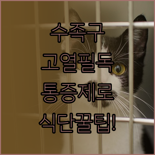 아이 수족구 고열 대처법과 구강 통증..