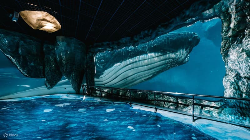 대만 국립해양생물관 & 수족관 입장권 예매 할인