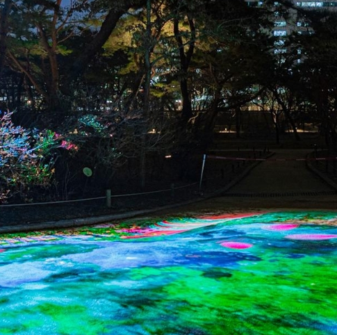 서울야경명소 창경궁 물빛연화