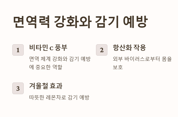 레몬 효능 면역력 강화