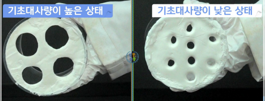 모로실 효능