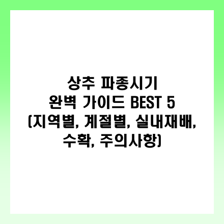 글 썸네일 인포그래픽