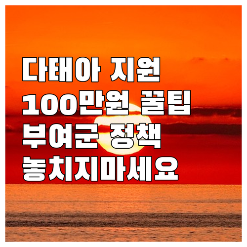 2025 부여군 다태아 출산 지원 정..