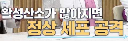 리포좀 비타민c 효능