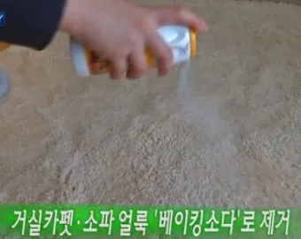 카펫 얼룩 탄산수 분무 후 흡수하는 페트병 롤러 팁_15