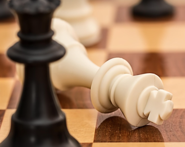 100만 원으로 시작하는 소액 투자 전략 관련 사진