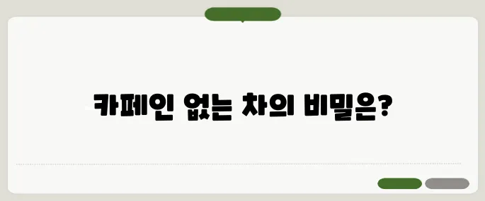 카페인 없는 차 종류와 효능 함께 알아보기