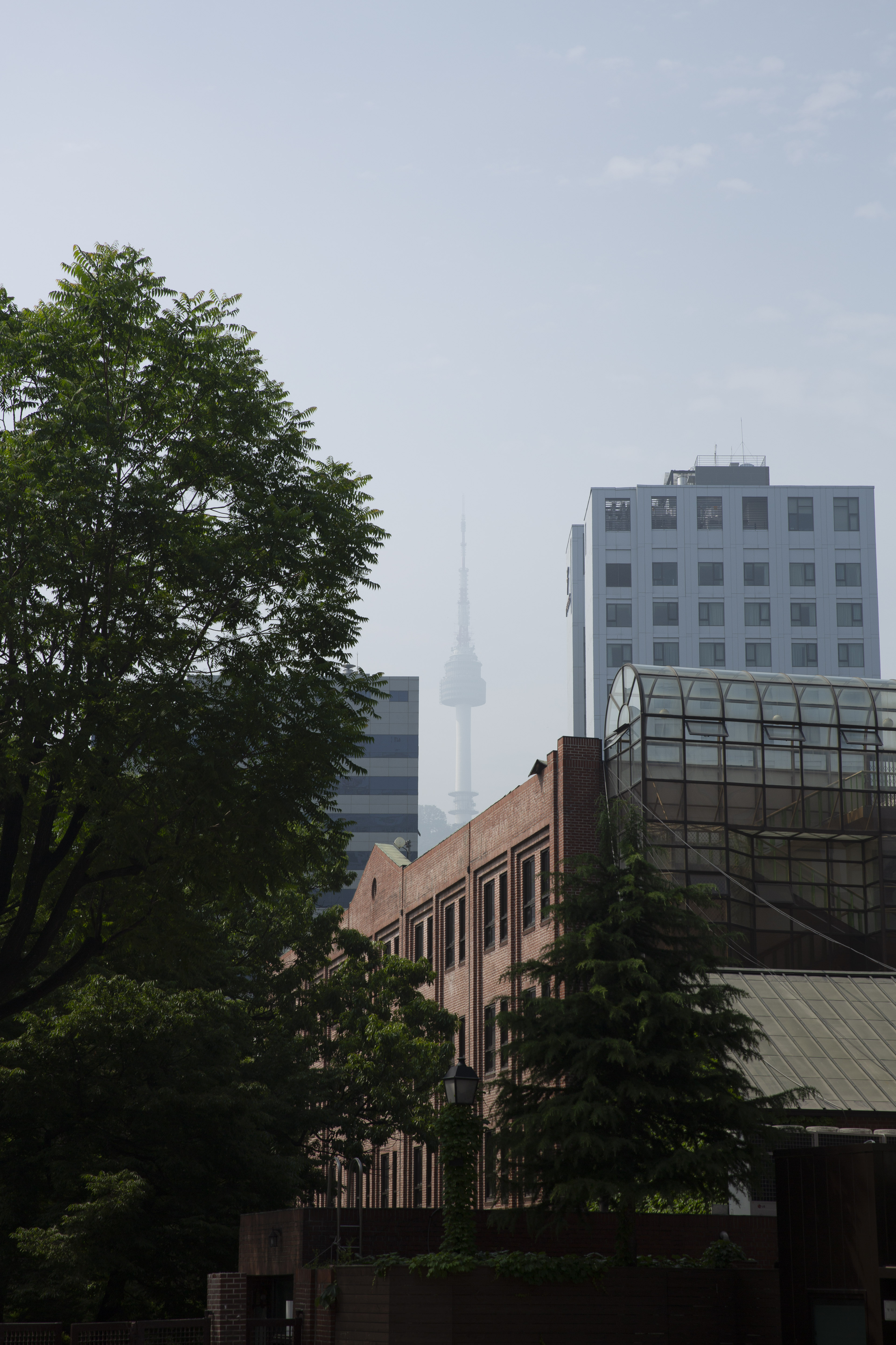 토지거래허가구역