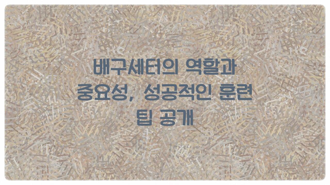 배구세터