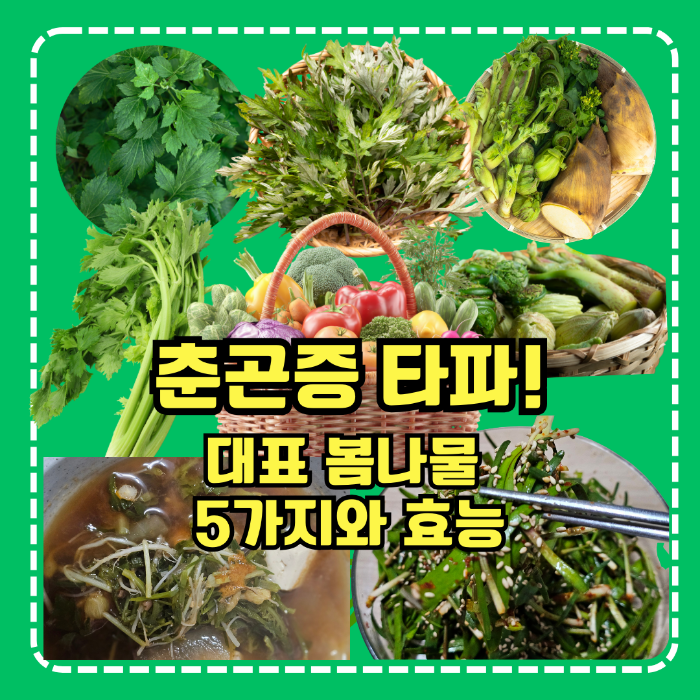 봄나물 건강법