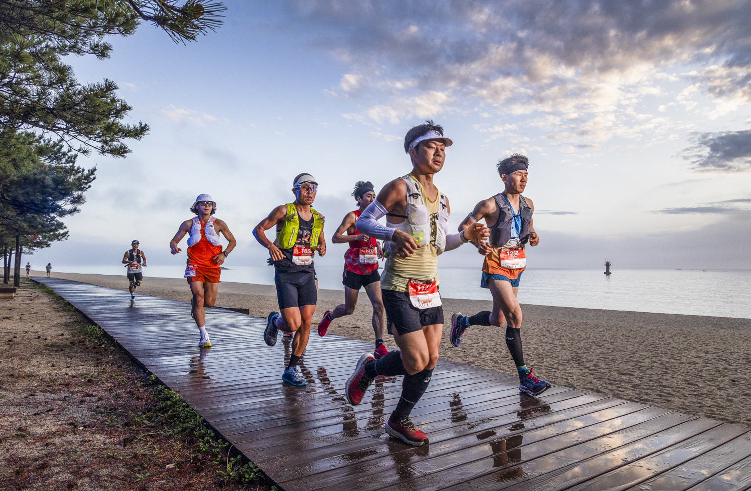 TNF100K
TNF100 GANWON 2025