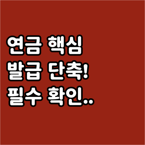 발급 지연 최소화 방법 국민연금공단 ..
