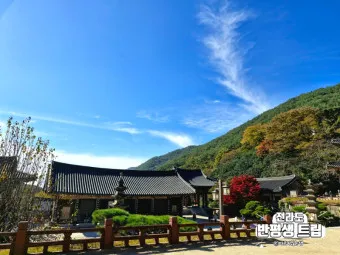 구례 가볼만한곳 베스트10 장터 현지인 맛집_23