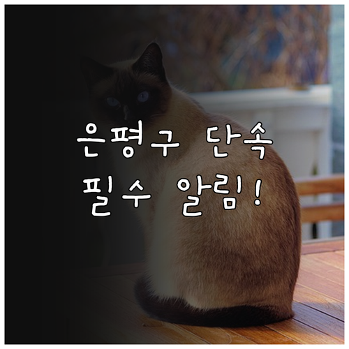 은평구 주정차 단속 문자 알림 신청 ..