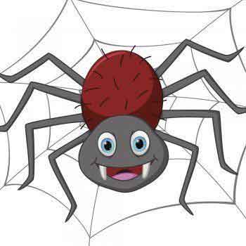 거미줄위의 거미