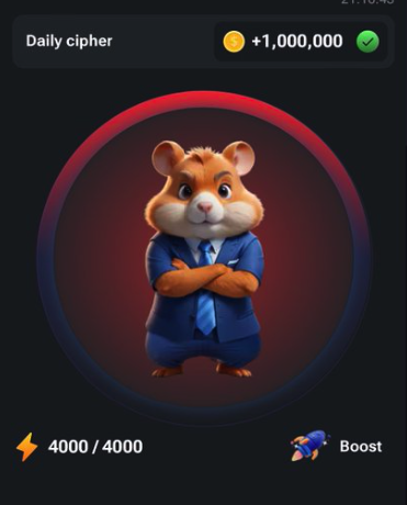 햄스터컴뱃 hamster kombat 채굴 방법