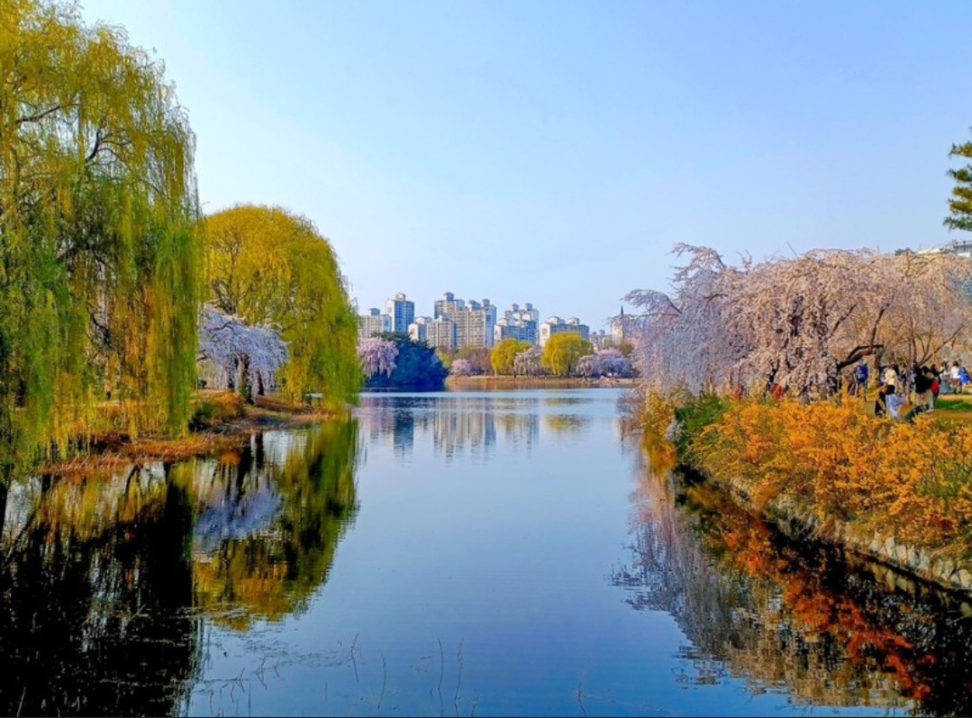 고양국제꽃박람회 사전예약하기 주차 입장료