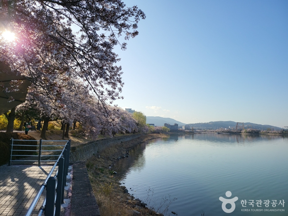 경주 가볼만한 곳 베스트 10 (2025 최신판)