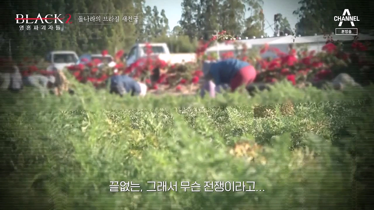 박명호 교주 돌나라 교단 근황