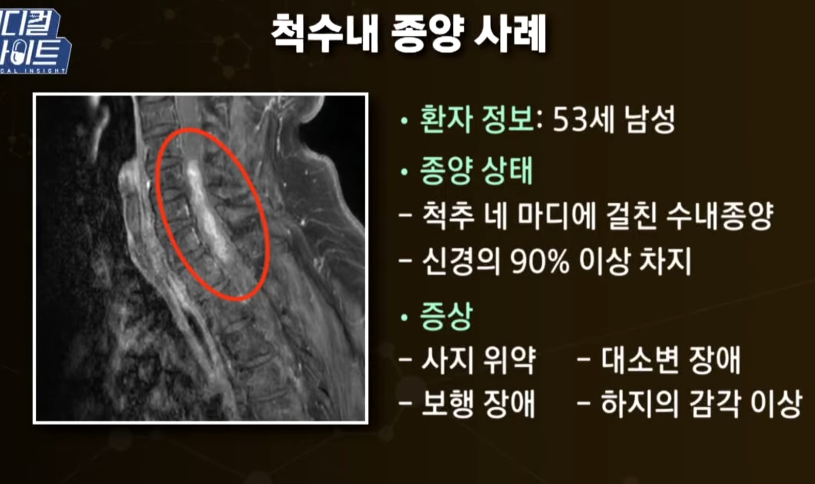 김치헌-교수