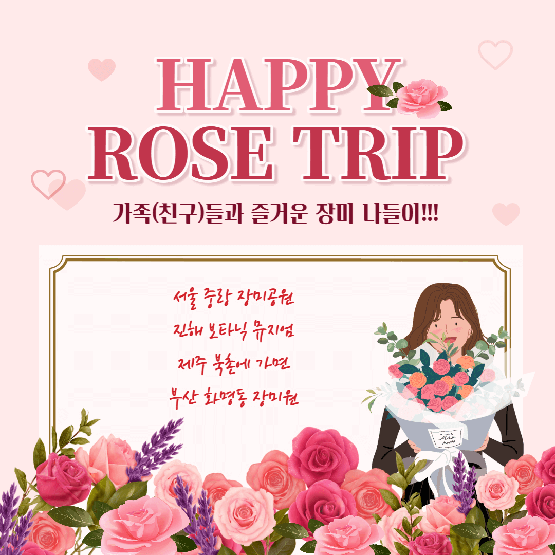 장미 개화시기&#44; 장미명소
