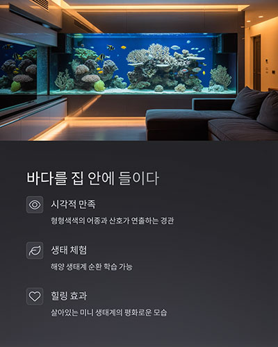 바다를 집 안에 들이다