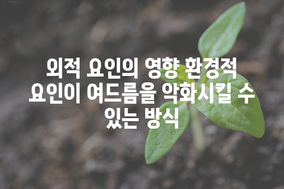 외적 요인의 영향 환경적 요인이 여드름을 악화시킬 수 있는 방식