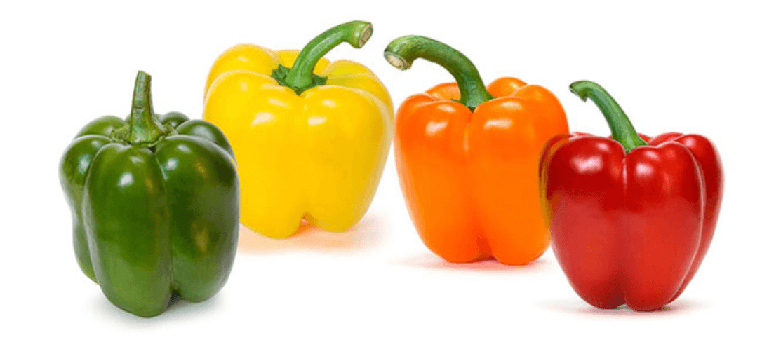 4종류 파프리카 사진