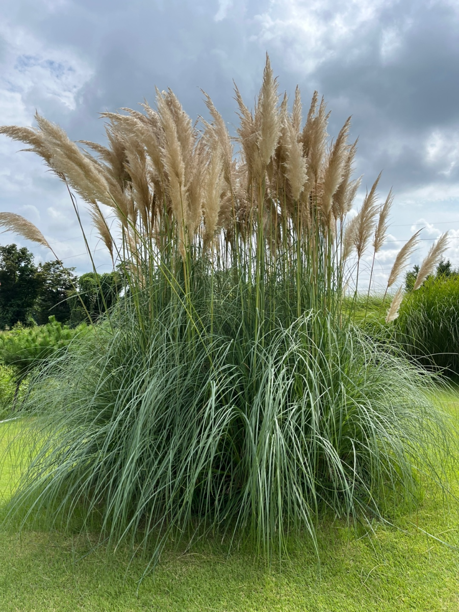 베이커리 카페 세컨드세컨드