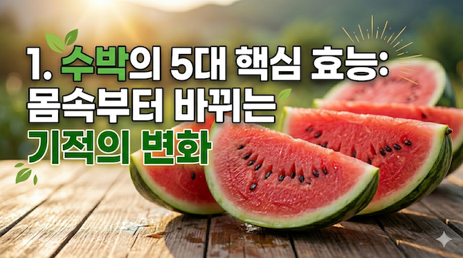 1. 수박의 5대 핵심 효능: 몸속부터 바뀌는 기적의 변화