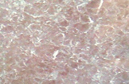 환절기&amp;#44; 수분 크림의 함정