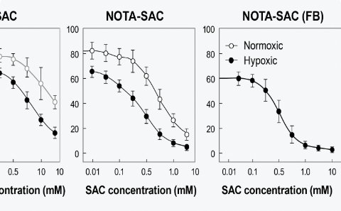 사카린 농도별 암세포 억제 실험 결과