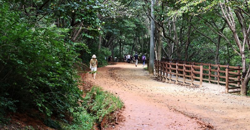 계족산 황토길