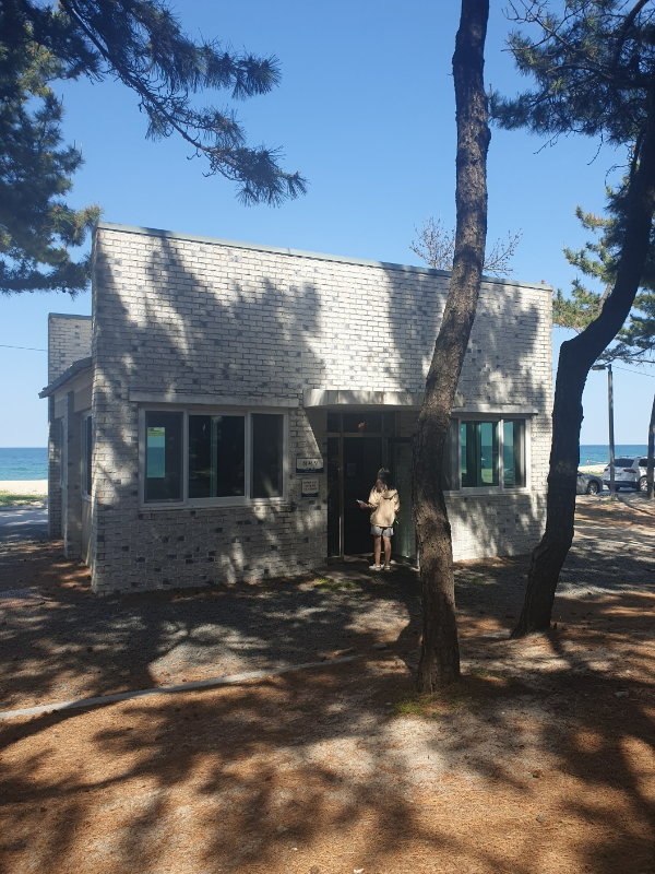 강릉 솔향기 캠핑장