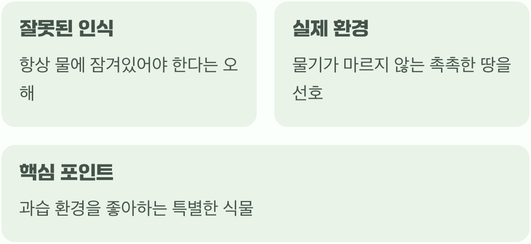 습지 식물에 대한 가장 큰 오해