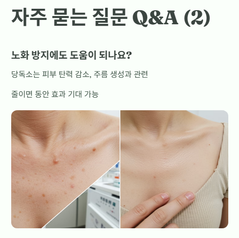자주 묻는 질문 Q&A 2