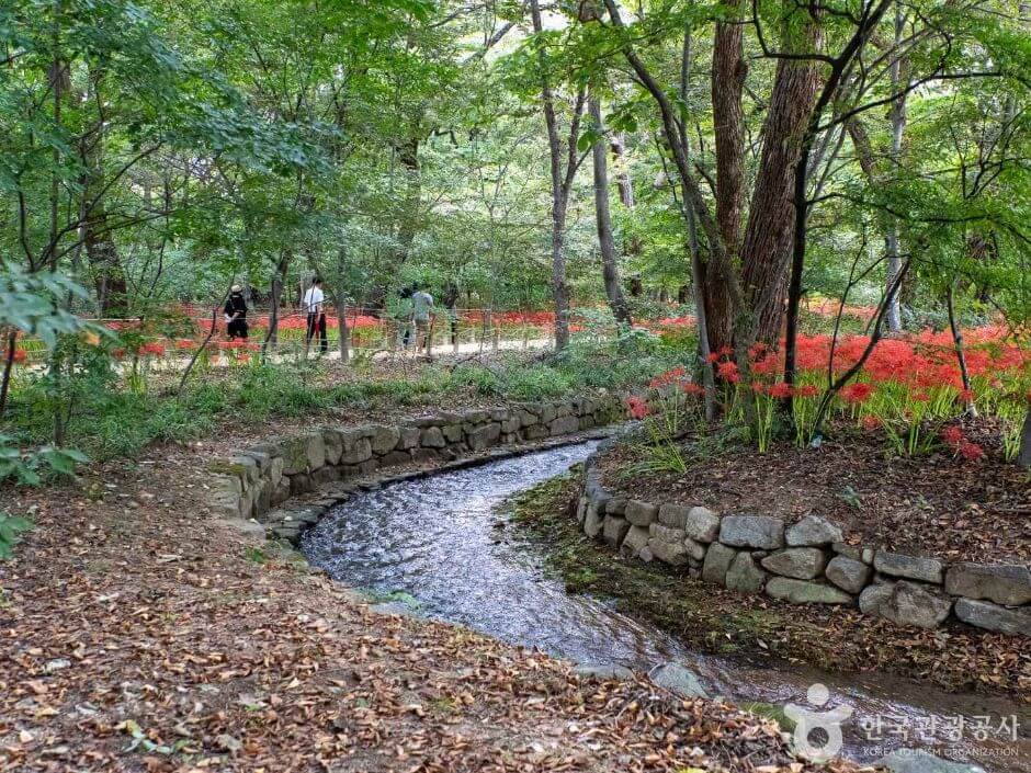 함양 가볼만한곳 베스트 10